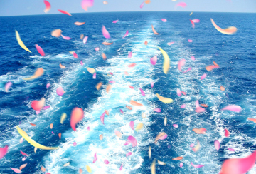 海洋散骨・委託散骨