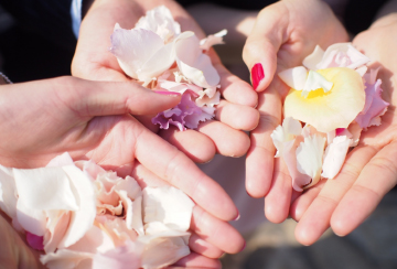 海洋散骨・個別散骨